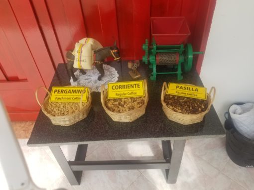 3 coffee bean types – photo by Gail Turner Brown