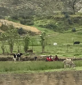 Ecuador Mtn Scenery by Bonnie Willow