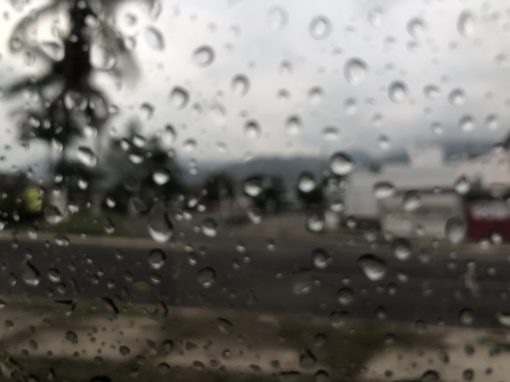 Rain in Puerto Vallarta by Dale Hanstad (2021)
