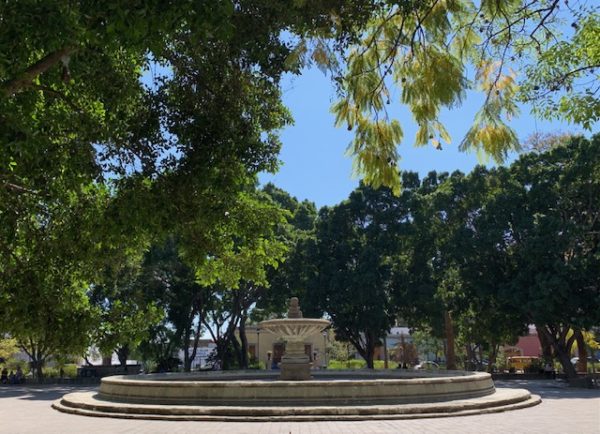 Parque El Llano, Oaxaca, Mexico Photo by Gwen Hyatt