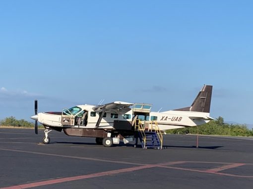 Easy flight to the coast photo by Gwen Hyatt
