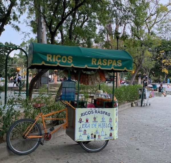 Food Stands – there are plenty in Public Places. by Gwen Hyatt