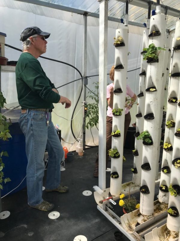 Gary offers hydroponic advice By Bonnie Willow
