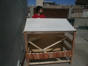 My Son Finishing the Chicken Coop He Designed & Built! By Cheri Majors