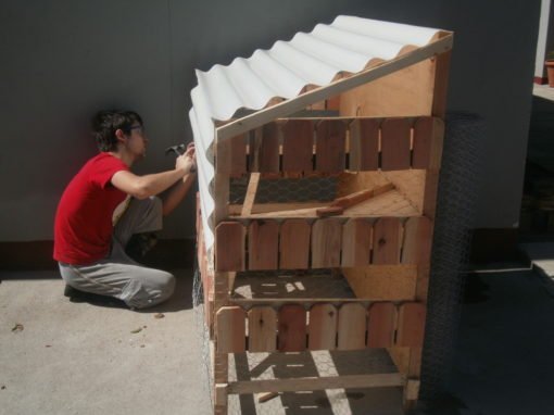 My Son Building Our First Chicken Coop. By Cheri Majors