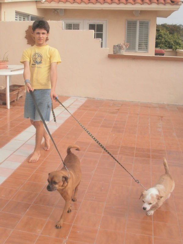 My Son Jake, & his 2 Rescue Dogs, CA to Baja, MX! By Cheri Majors