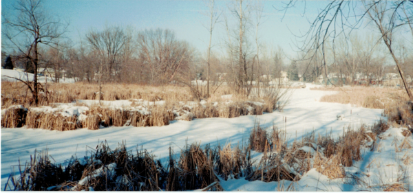 Silver Lake, Minneapolis by Nadege Minois