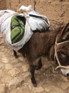 This Bolivian burro was a godsend by Eileen Brill Wagner