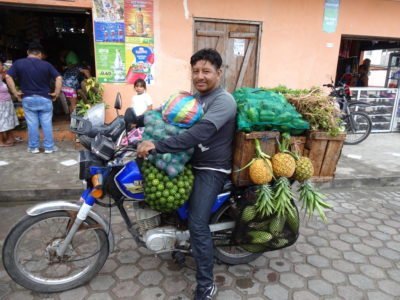 Healthy food on the run by Gwen Hyatt