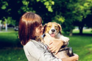 How to settle a dog into a new house. by belart84 on Unsplash