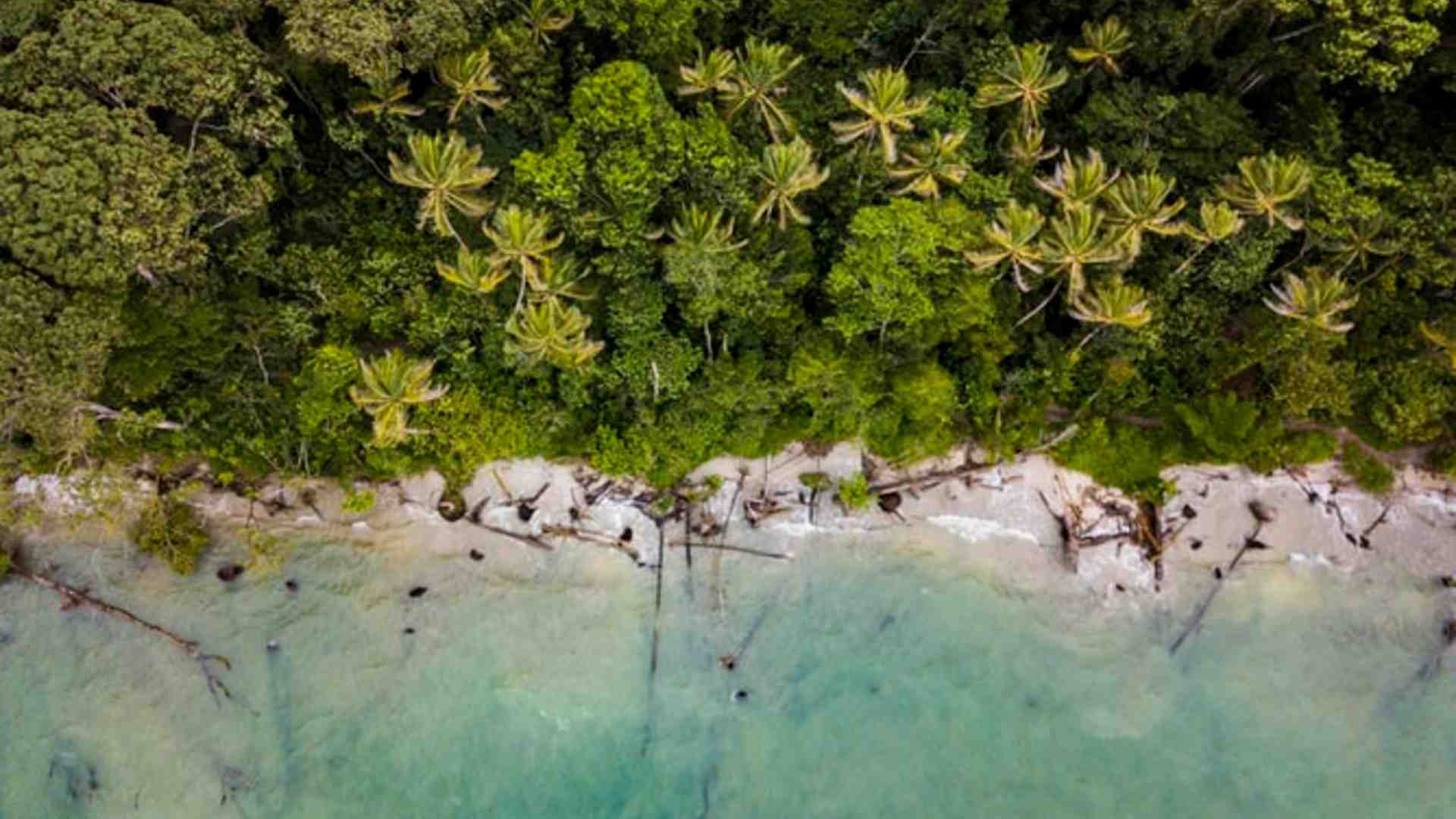 EXPAT ESSENTIALS: Costa Rica Visas