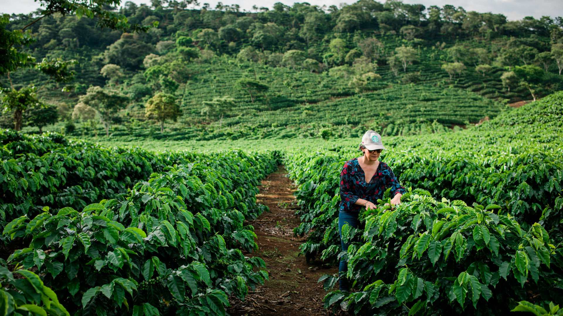 Downsides to Living in Costa Rica? The Top Five