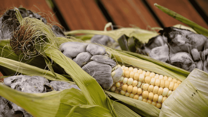 What is Huitlacoche?