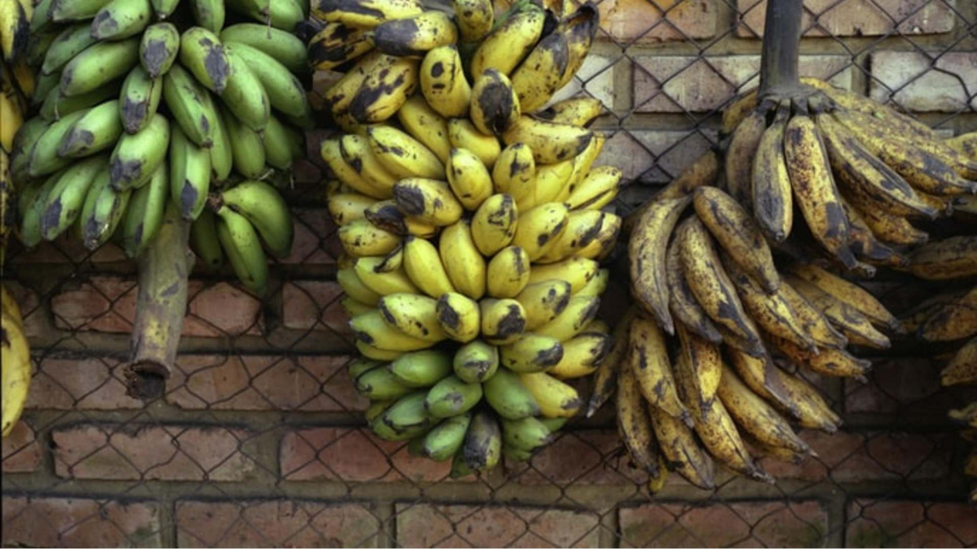 Fresh From The Market: The Platano