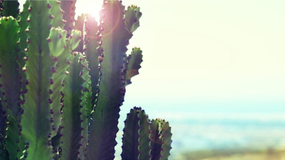 Building a Home in San Miguel de Allende, Mexico