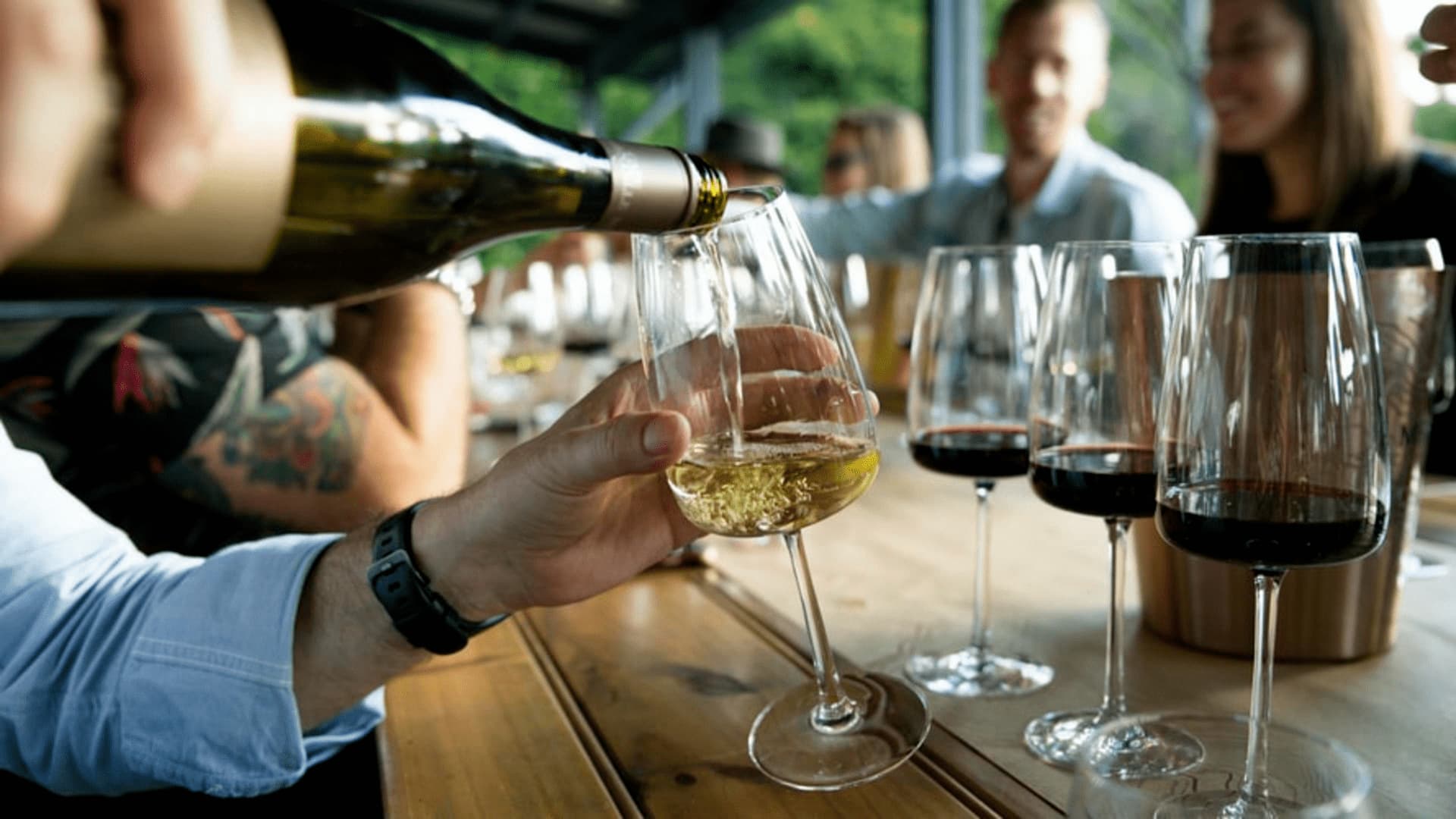 Lesser Known Catalan Wine Varietals You Must Get to Know