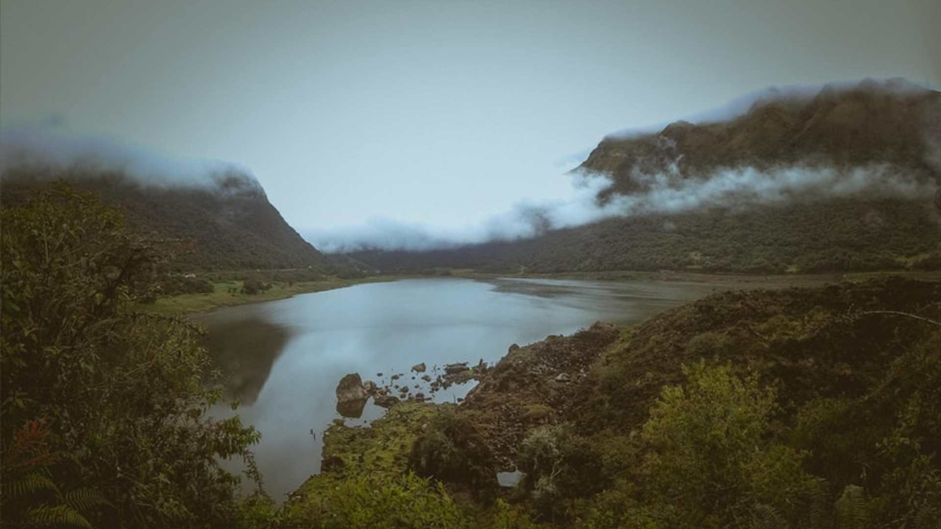 Permaculture in Ecuador