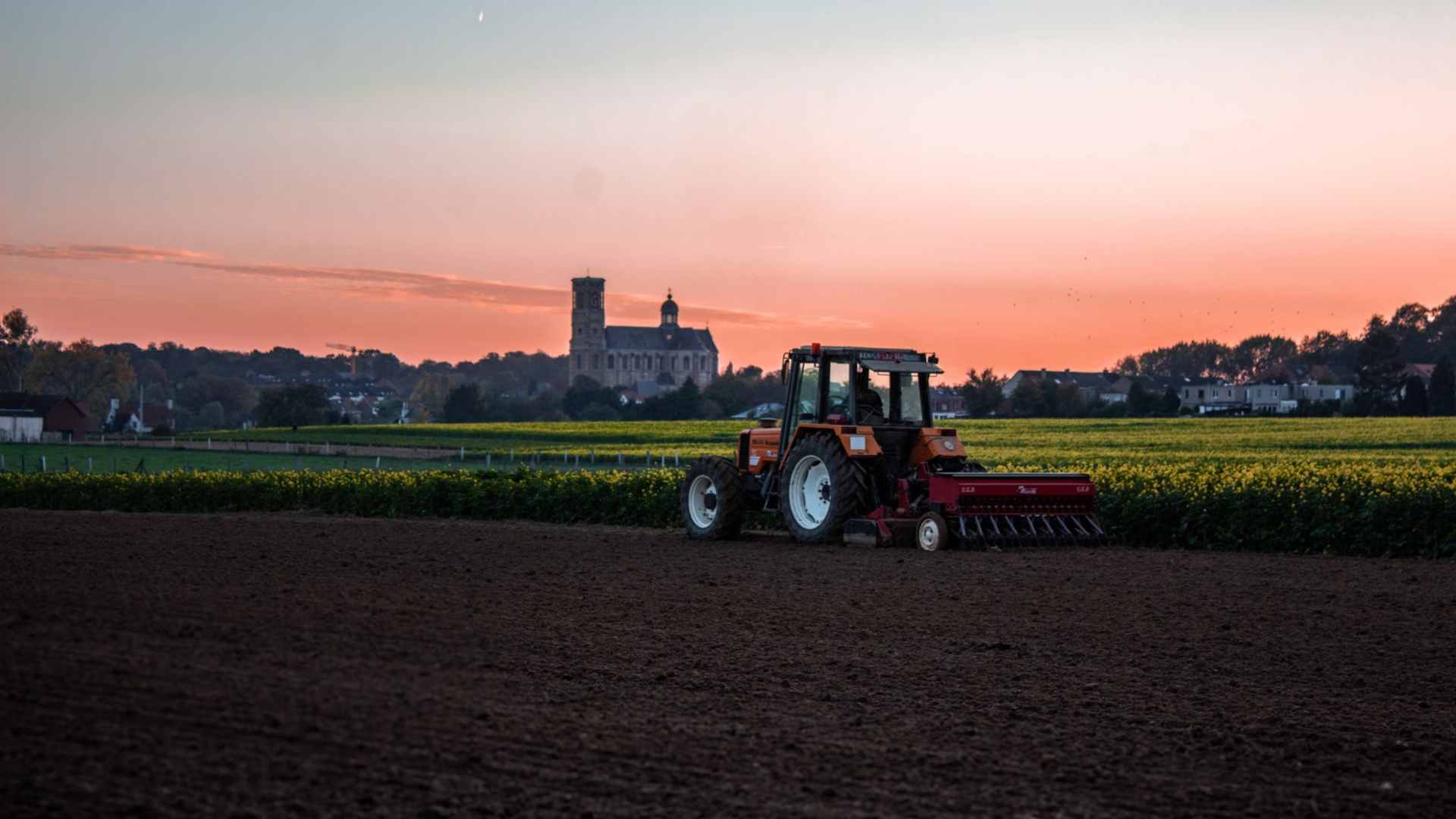 Culture Shock: From City Life to Expat Farming